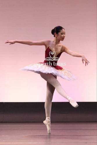 Stretch Ballet Tutu by Perth Tutus