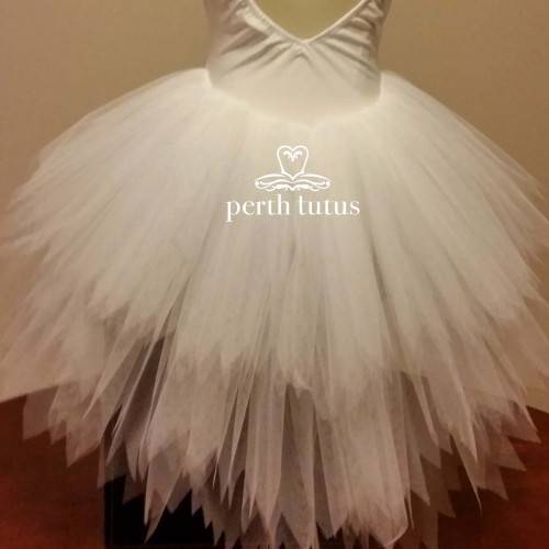 The Dying Swan Ballet Costume